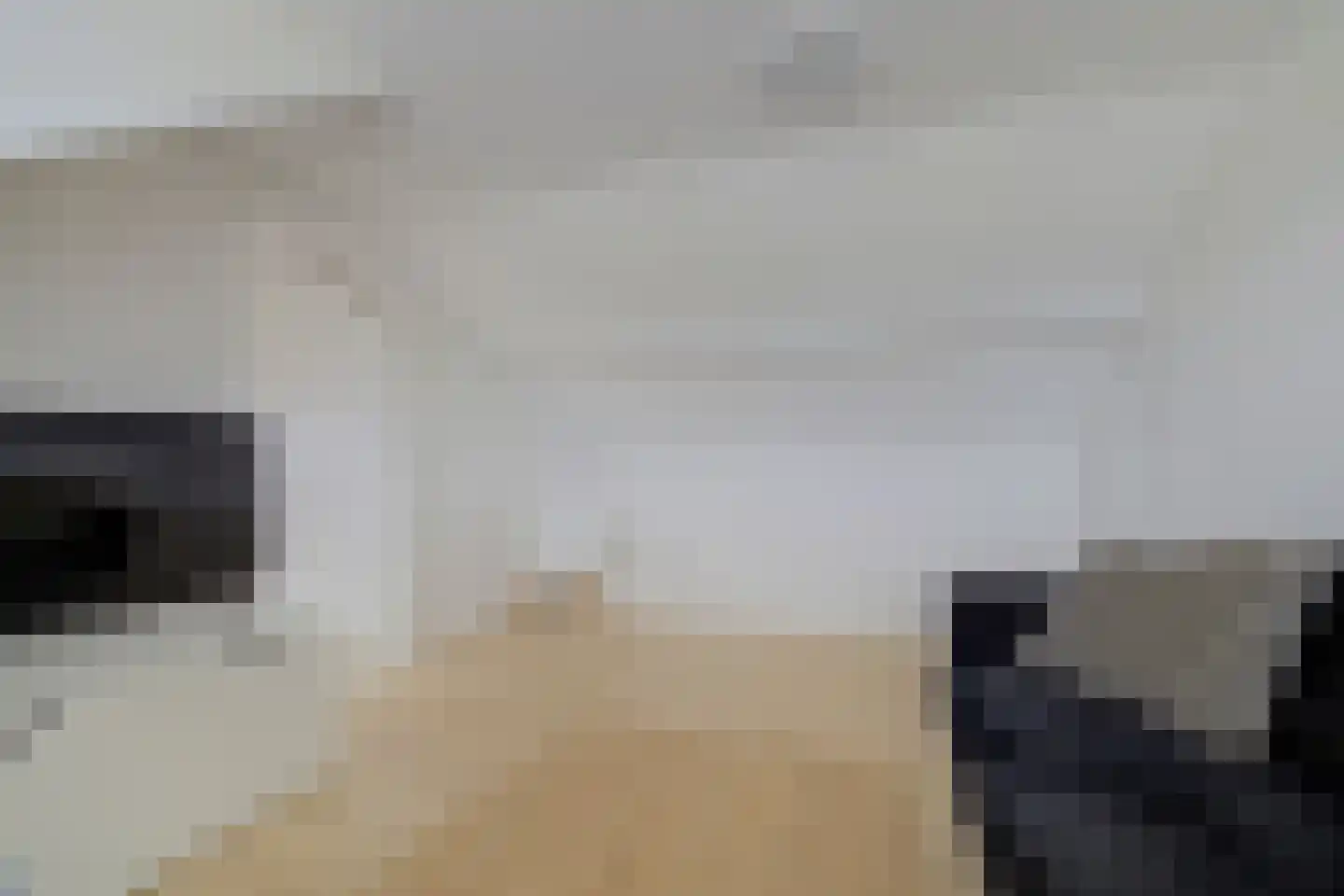 Landonk 48 Raamsdonksveer thumbnail 36