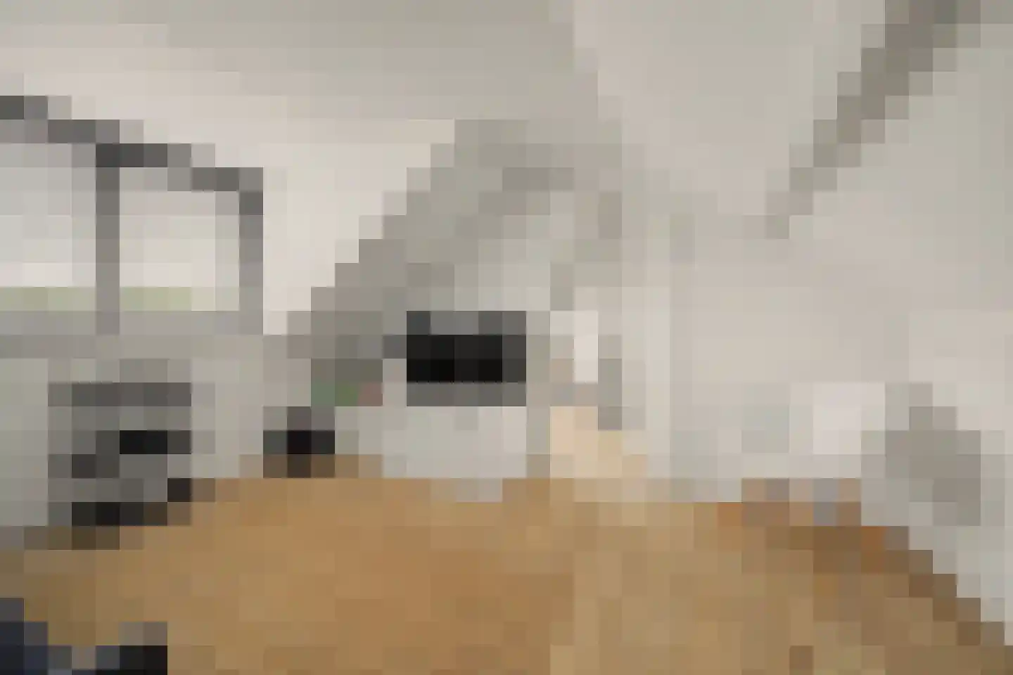 Landonk 48 Raamsdonksveer thumbnail 38