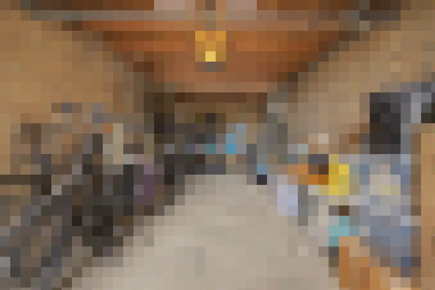Landonk 48 Raamsdonksveer thumbnail 44