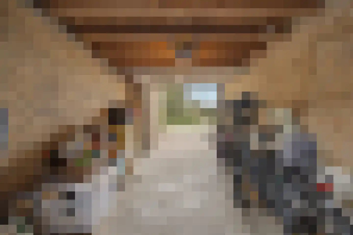 Landonk 48 Raamsdonksveer thumbnail 45