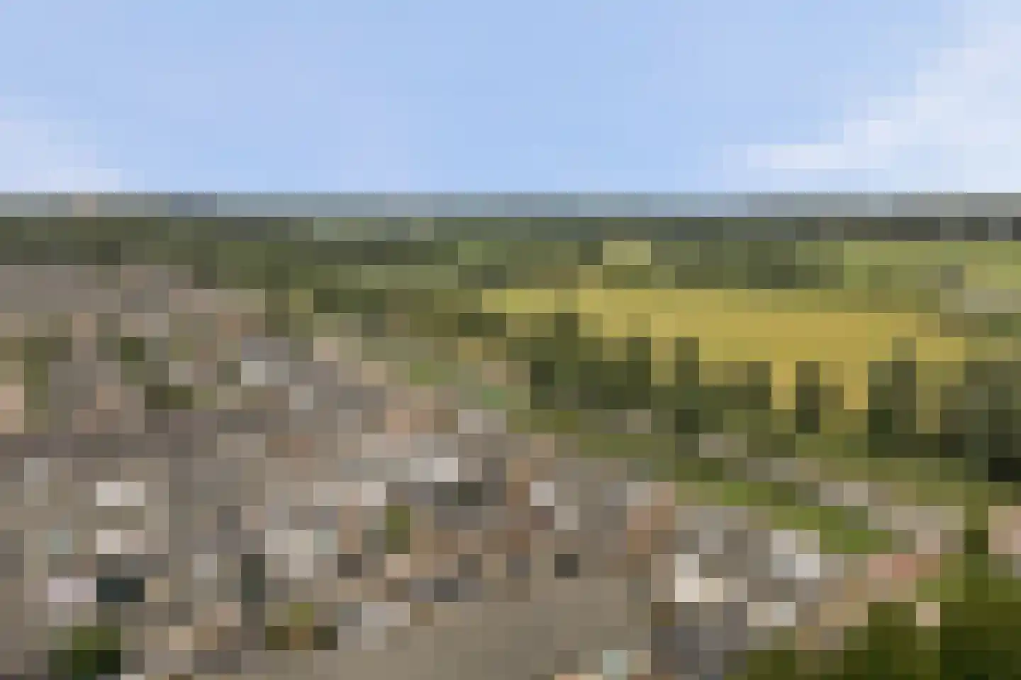 Landonk 48 Raamsdonksveer thumbnail 49