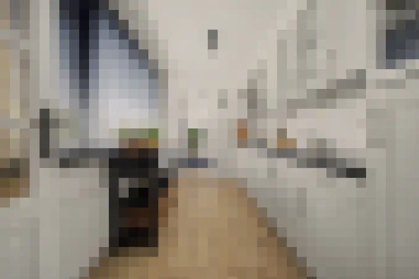 Landonk 48 Raamsdonksveer thumbnail 5