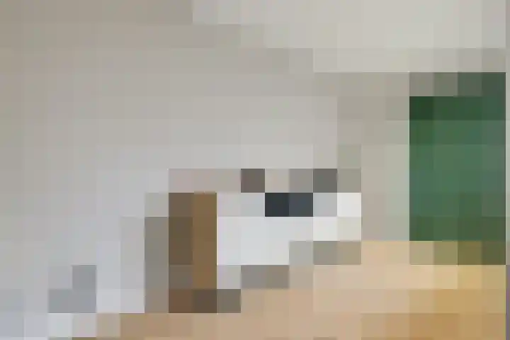 Landouwen 23 Huissen thumbnail 14