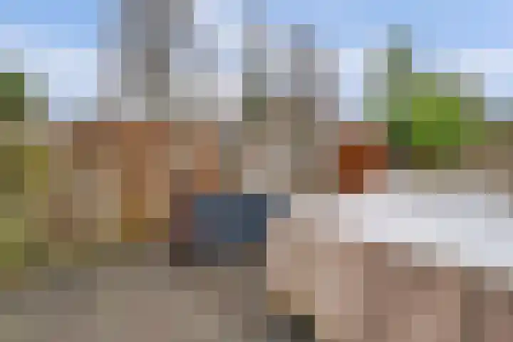 Landouwen 23 Huissen thumbnail 24