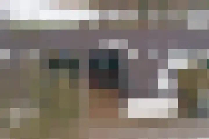 Landouwen 23 Huissen thumbnail 25