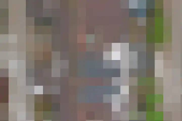 Landouwen 23 Huissen thumbnail 26