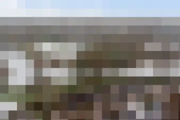 Landouwen 23 Huissen thumbnail 27