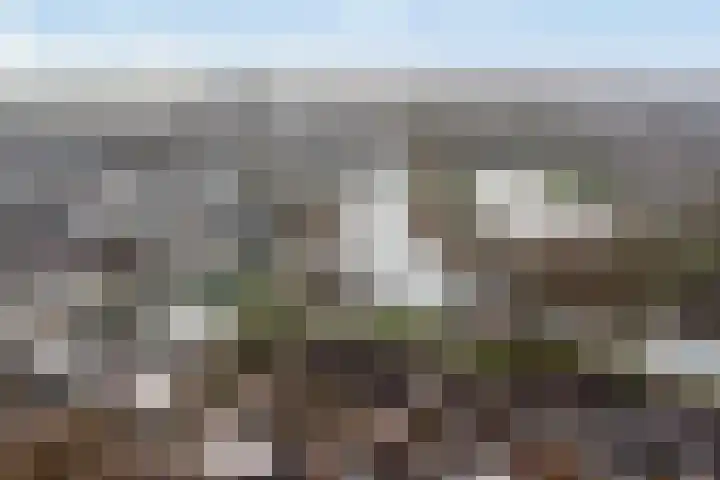 Landouwen 23 Huissen thumbnail 28