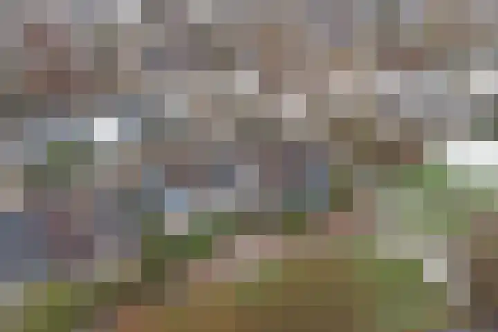 Landouwen 23 Huissen thumbnail 29