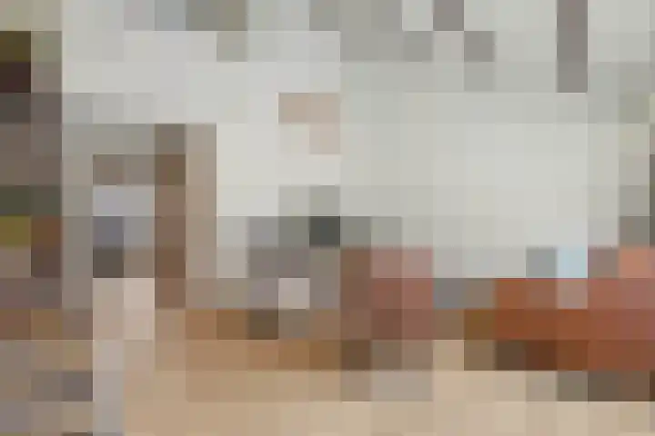 Landouwen 23 Huissen thumbnail 7