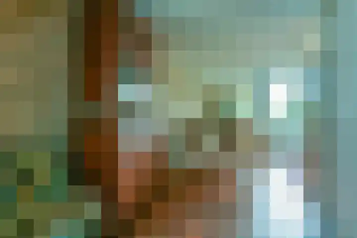 Landouwen 45 Huissen thumbnail 12