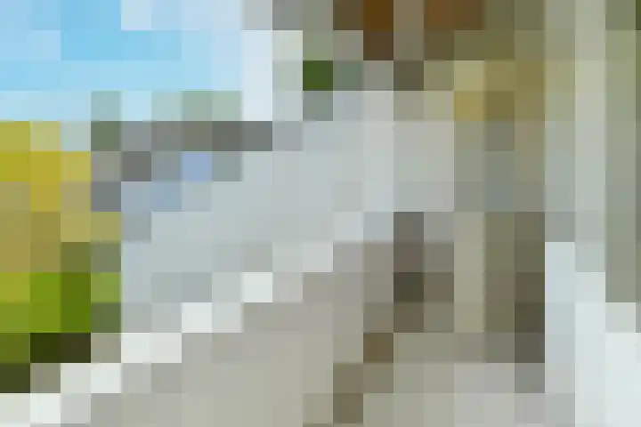 Landouwen 45 Huissen thumbnail 26