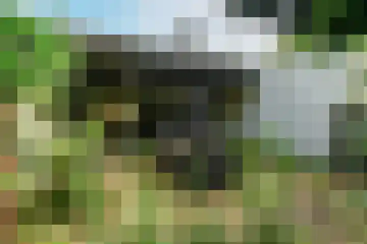 Landouwen 45 Huissen thumbnail 33