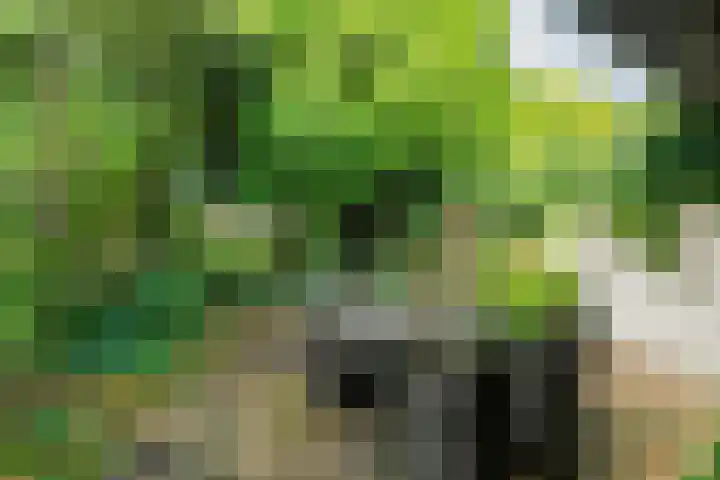 Landouwen 45 Huissen thumbnail 35