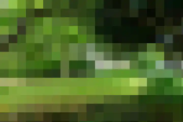 Landouwen 45 Huissen thumbnail 36