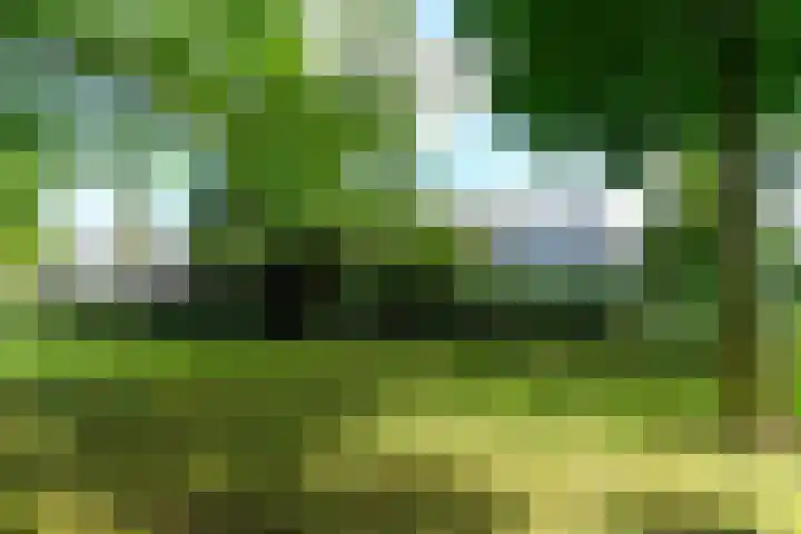 Landouwen 45 Huissen thumbnail 37