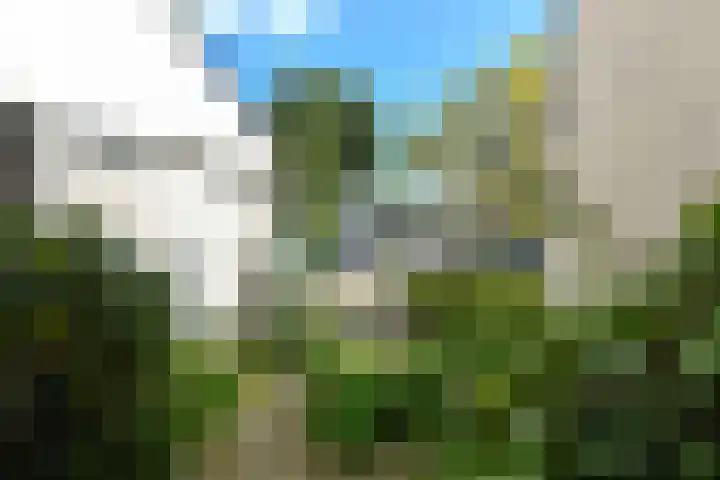 Landouwen 45 Huissen thumbnail 7