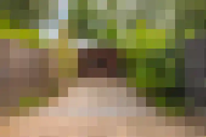 Landpaal 14 Huissen thumbnail 15