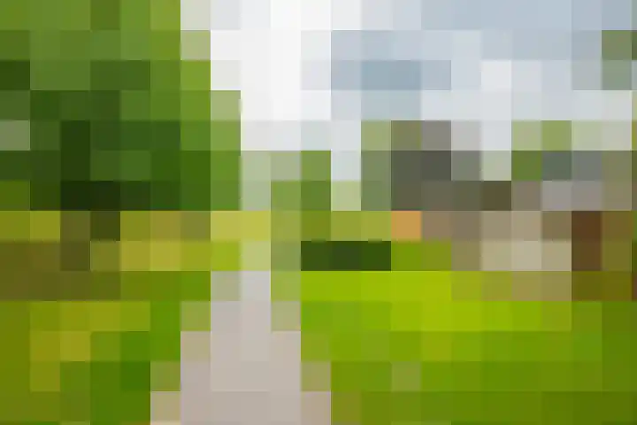 Landpaal 14 Huissen thumbnail 31