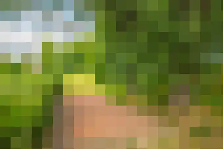 Landpaal 14 Huissen thumbnail 32