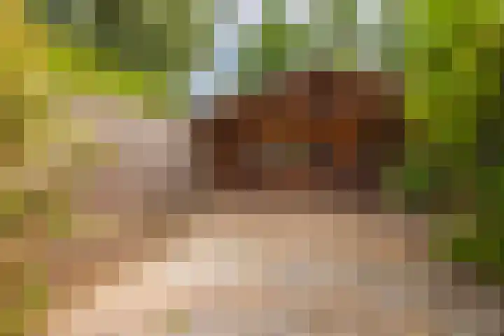 Landpaal 14 Huissen thumbnail 4