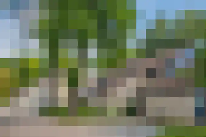 Landpaal 14 Huissen thumbnail 6