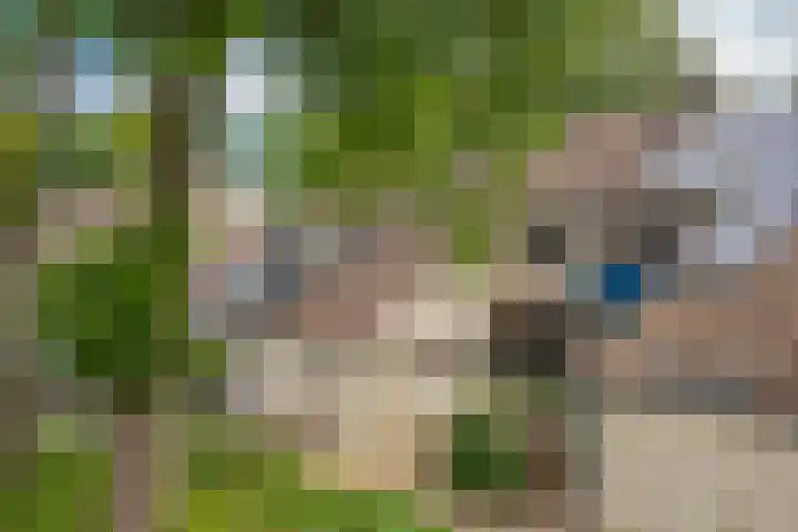 Landpaal 14 Huissen thumbnail 7