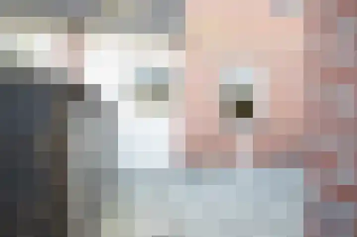 Landpoortsteeg 15 Vollenhove thumbnail 20