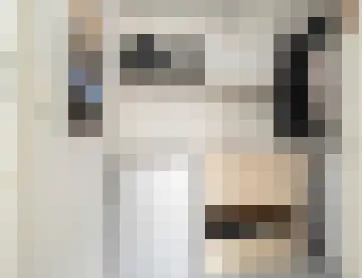 Landpoortsteeg 15 Vollenhove thumbnail 24