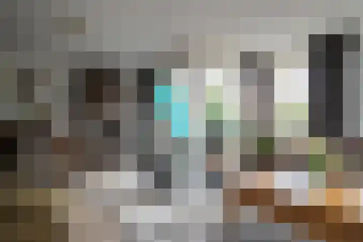 Landpoortsteeg 15 Vollenhove thumbnail 26