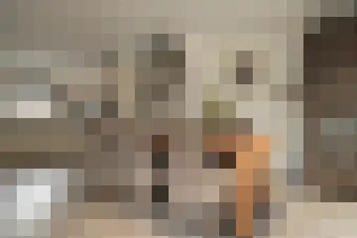 Landpoortsteeg 15 Vollenhove thumbnail 27