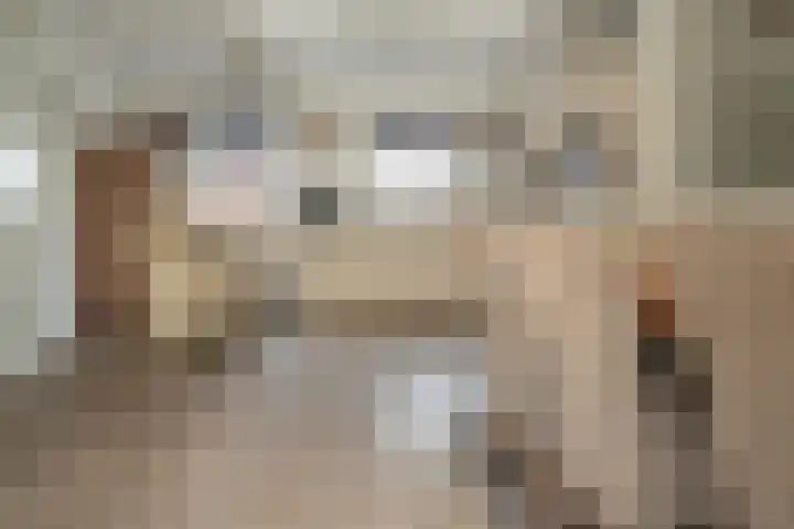Landpoortsteeg 15 Vollenhove thumbnail 28
