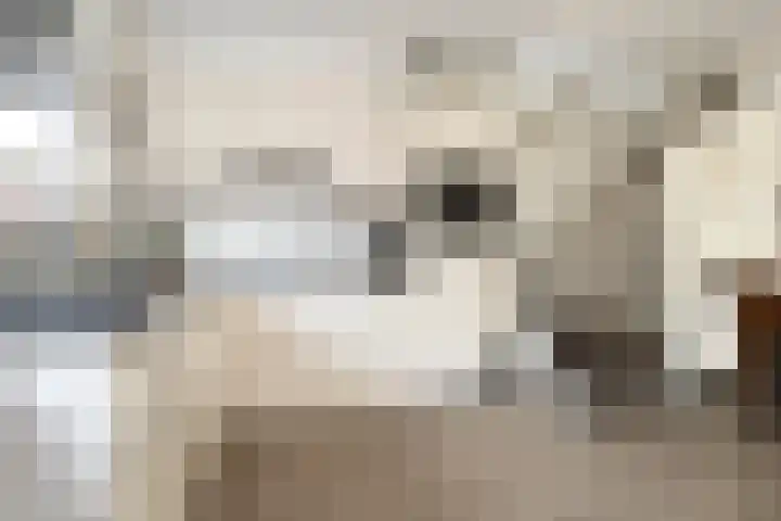 Landpoortsteeg 15 Vollenhove thumbnail 29