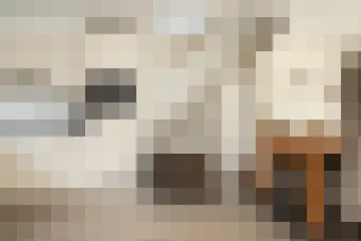 Landpoortsteeg 15 Vollenhove thumbnail 36