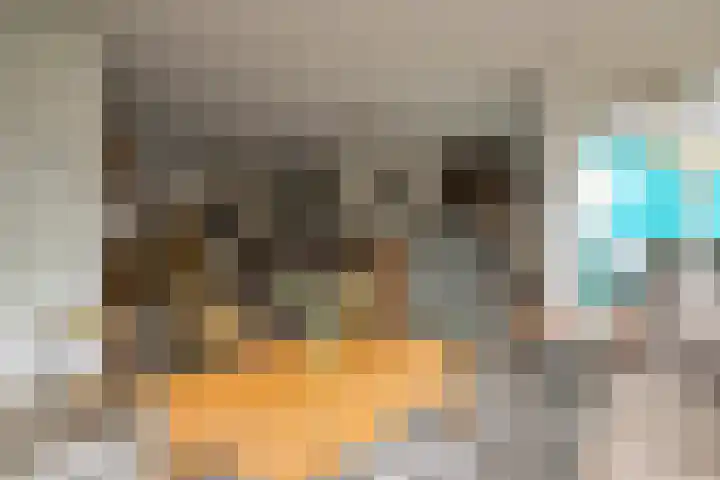 Landpoortsteeg 15 Vollenhove thumbnail 4