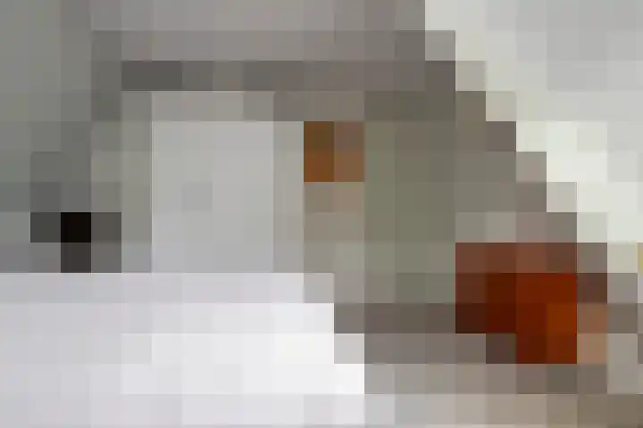 Landpoortsteeg 15 Vollenhove thumbnail 41