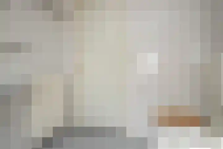 Landpoortsteeg 15 Vollenhove thumbnail 43