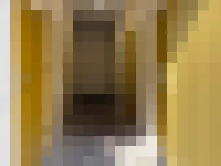 Landpoortsteeg 15 Vollenhove thumbnail 48