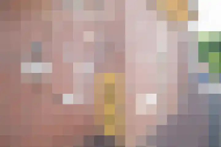 Landpoortsteeg 3 Vollenhove thumbnail 13
