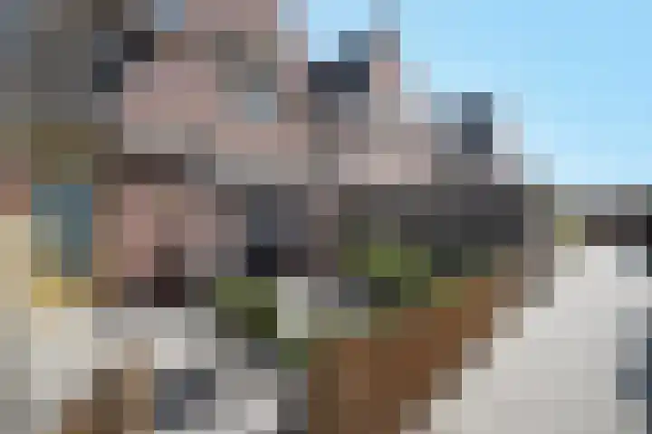 Landpoortsteeg 3 Vollenhove thumbnail 17