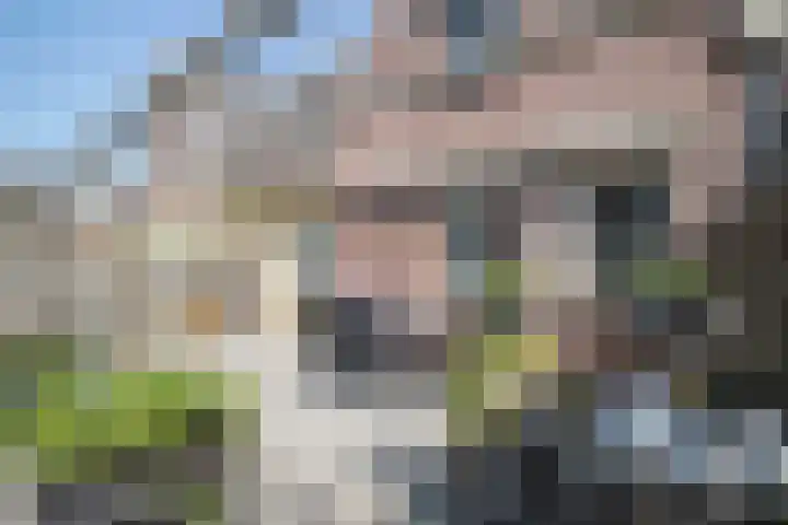 Landpoortsteeg 3 Vollenhove thumbnail 19