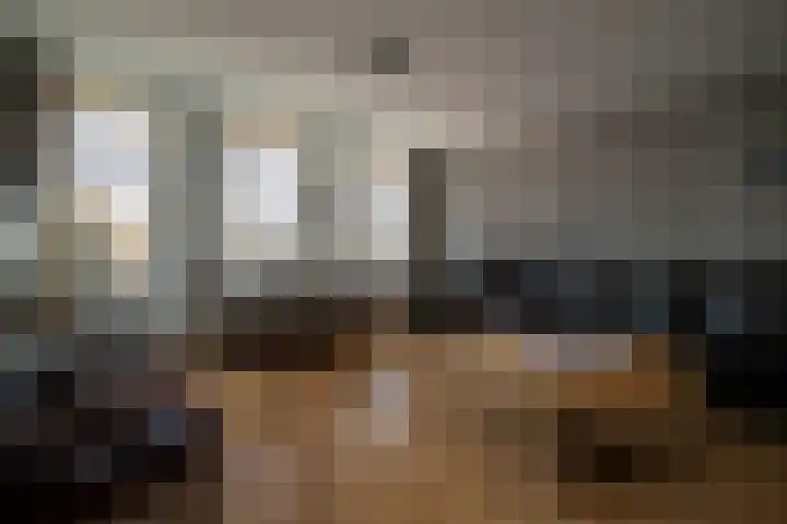 Landpoortsteeg 3 Vollenhove thumbnail 23