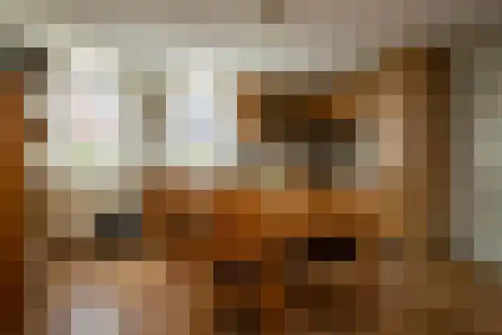 Landpoortsteeg 3 Vollenhove thumbnail 31
