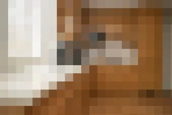 Landpoortsteeg 3 Vollenhove thumbnail 32