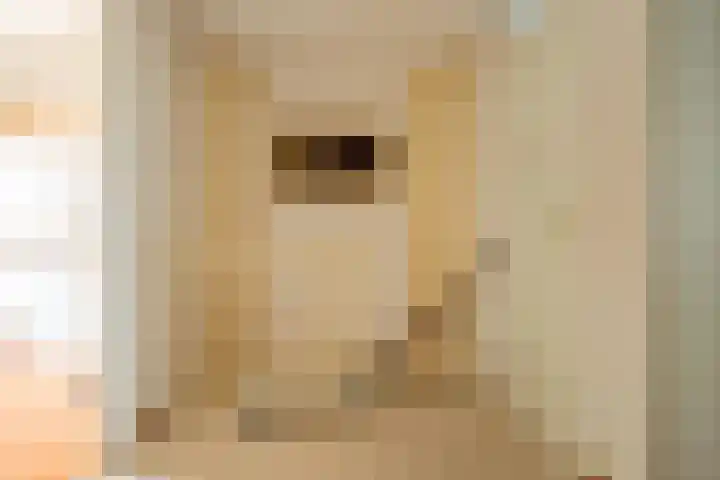 Landpoortsteeg 3 Vollenhove thumbnail 35