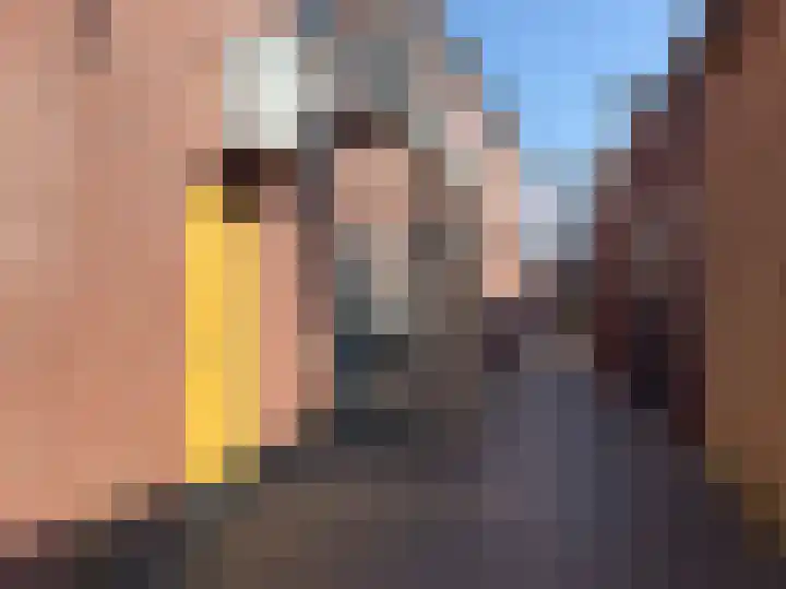 Landpoortsteeg 3 Vollenhove thumbnail 43