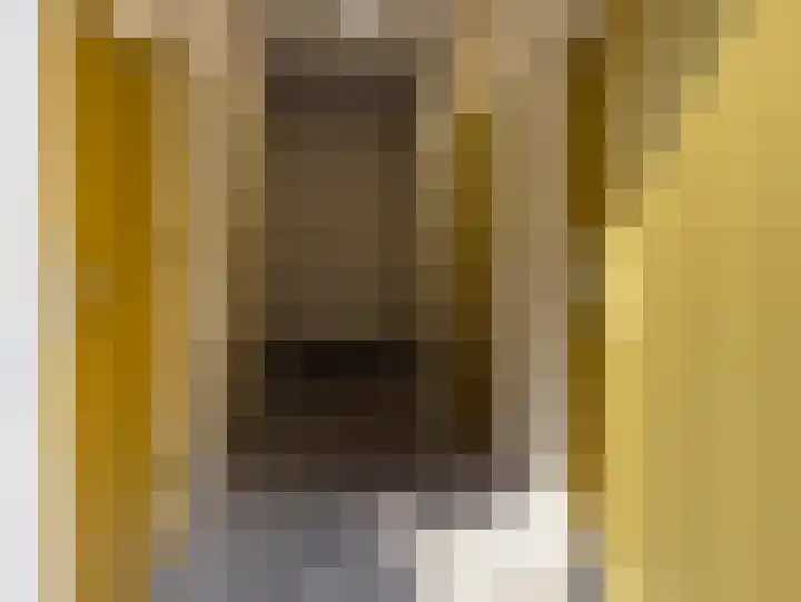 Landpoortsteeg 3 Vollenhove thumbnail 45