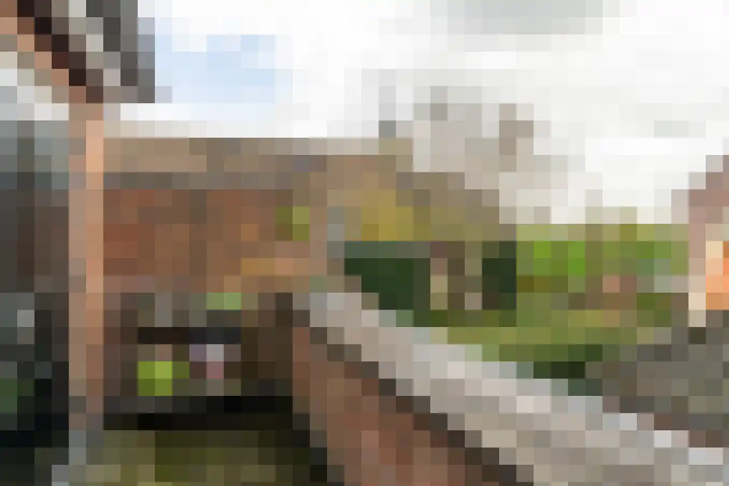 Landpoortstraat 14 e Woudrichem thumbnail 13