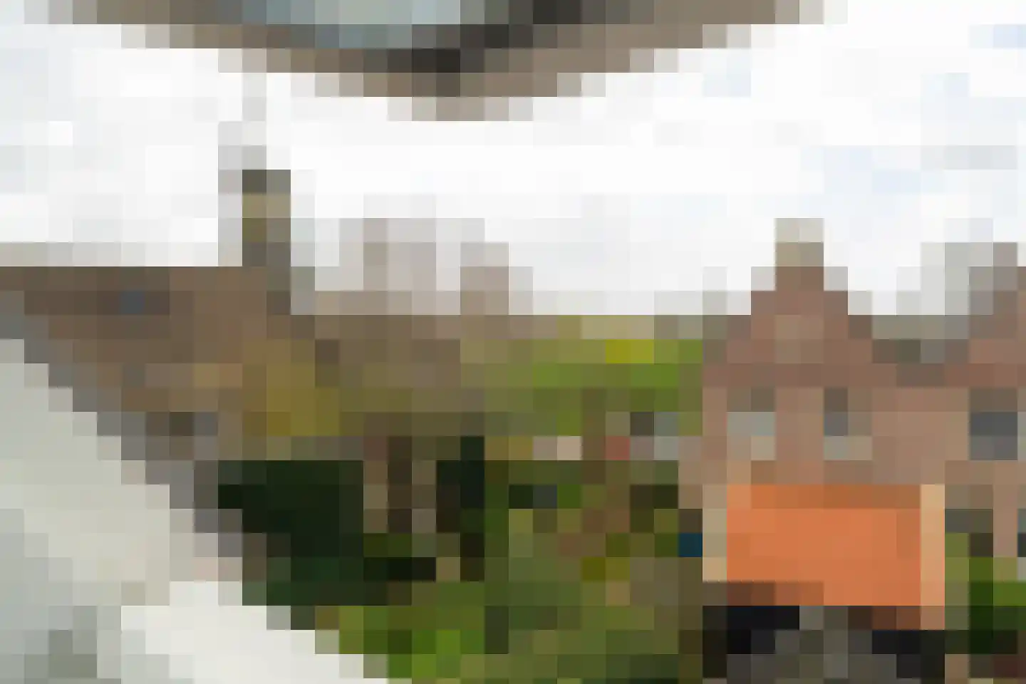 Landpoortstraat 14 e Woudrichem thumbnail 21