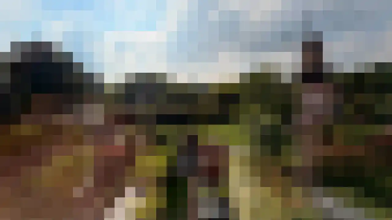 Landpoortstraat 14 Ravenstein thumbnail 18